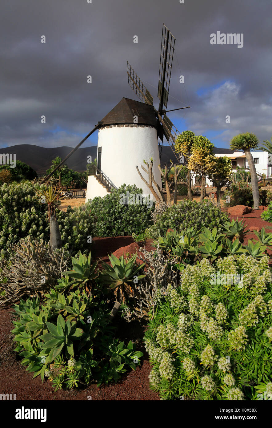 Die Mühle und Garten im Centro de Artesania Molinos de Antigua, Fuerteventura, Kanarische Inseln, Spanien bearbeitet werden. Stockfoto