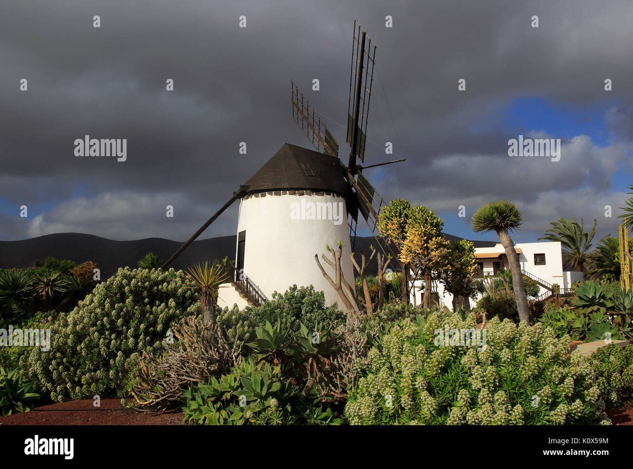 Die Mühle und Garten im Centro de Artesania Molinos de Antigua, Fuerteventura, Kanarische Inseln, Spanien bearbeitet werden. Stockfoto
