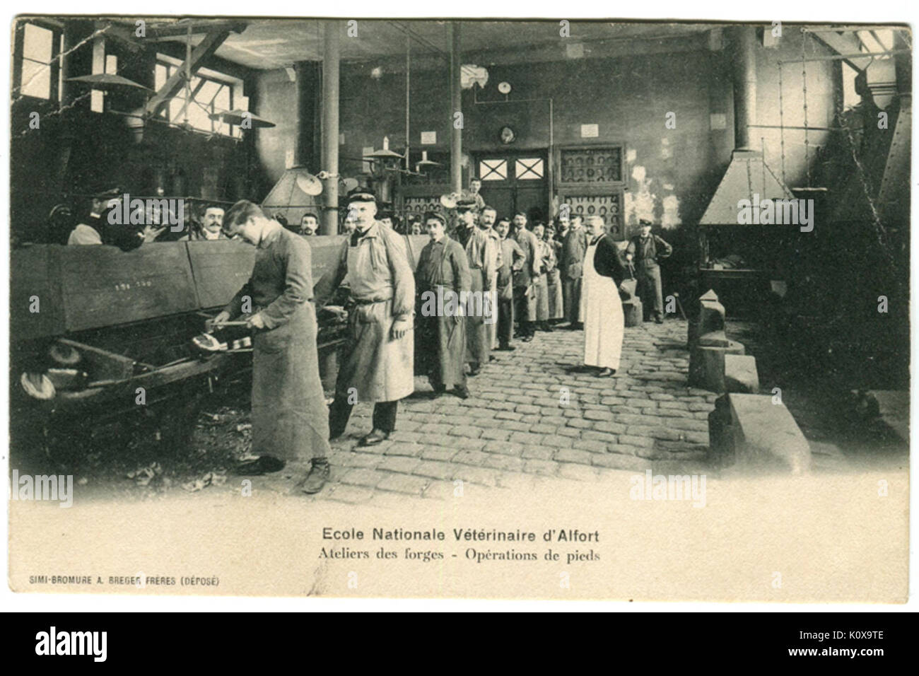 Ein historisches Dokument oder eine Illustration der Alfort School of Veterinary Medicine, in dem tierärztliche Praktiken und Lehren aus ihrem Lehrplan dargestellt werden. Auf dieser Seite werden Tierpflegetechniken und tierärztliche Studien vorgestellt. Stockfoto