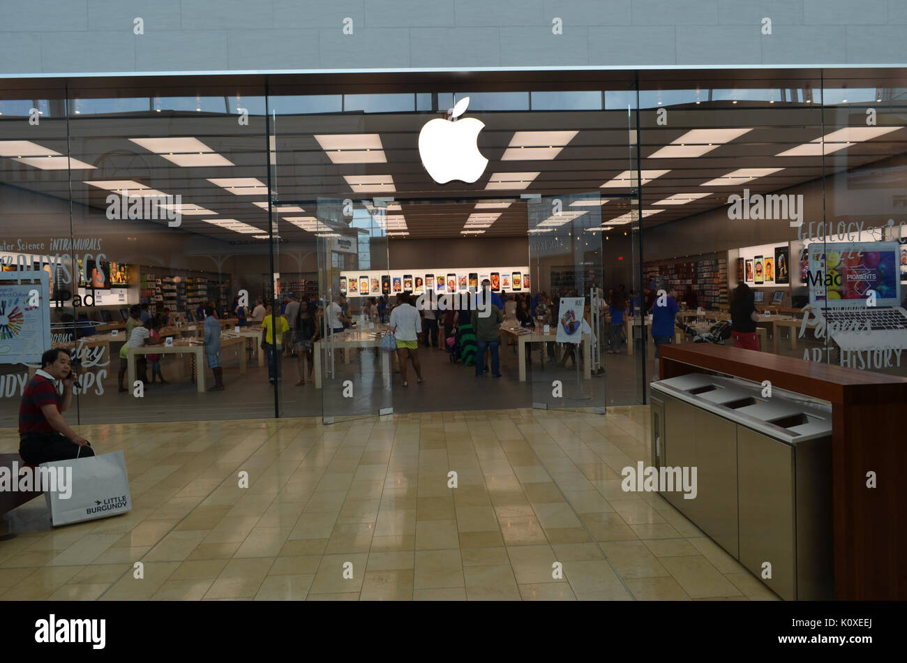 AppleStoreYorkdale 11. Stockfoto
