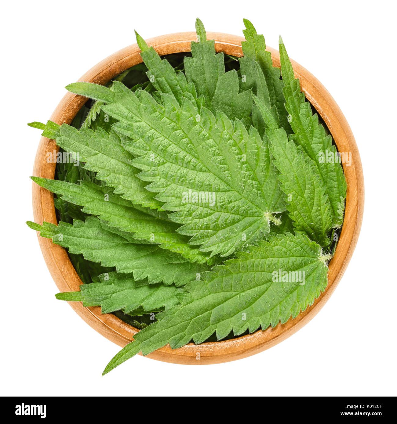 Brennnessel Blätter in Houten. Urtica dioica. Brennnessel oder nesselblatt. Kraut mit Injektionsnadeln. Quelle der Medizin-, Lebensmittel- und Faser. Stockfoto