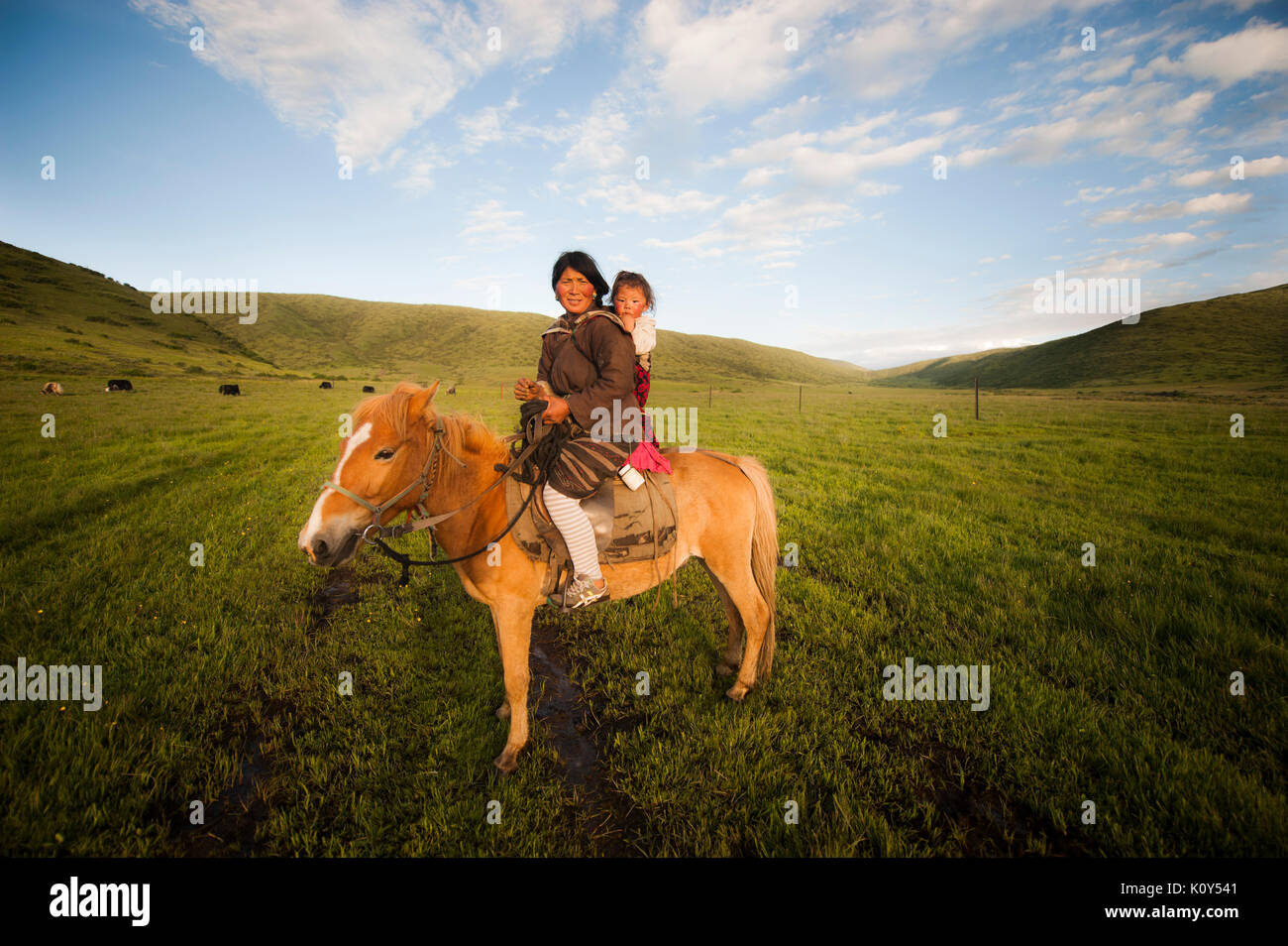 Tibetische Großmutter und Enkelin Reiten auf dem tibetischen Plateau. Stockfoto