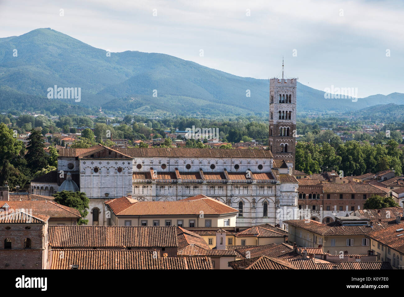 Kathedrale von San Martino, Lucca, Toskana, Italien Stockfoto