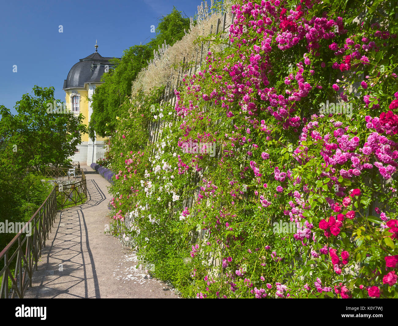 Terrasse mit Rokoko Schornsteine der Dornburger Schlösser, Dornburg, Saale-Holzland-Kreis, Thüringen, Deutschland Stockfoto