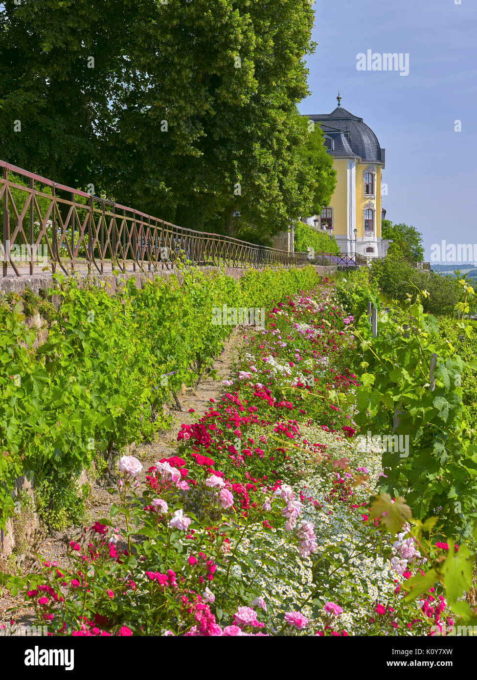 Terrasse mit Rokoko Schornsteine der Dornburger Schlösser, Dornburg, Saale-Holzland-Kreis, Thüringen, Deutschland Stockfoto