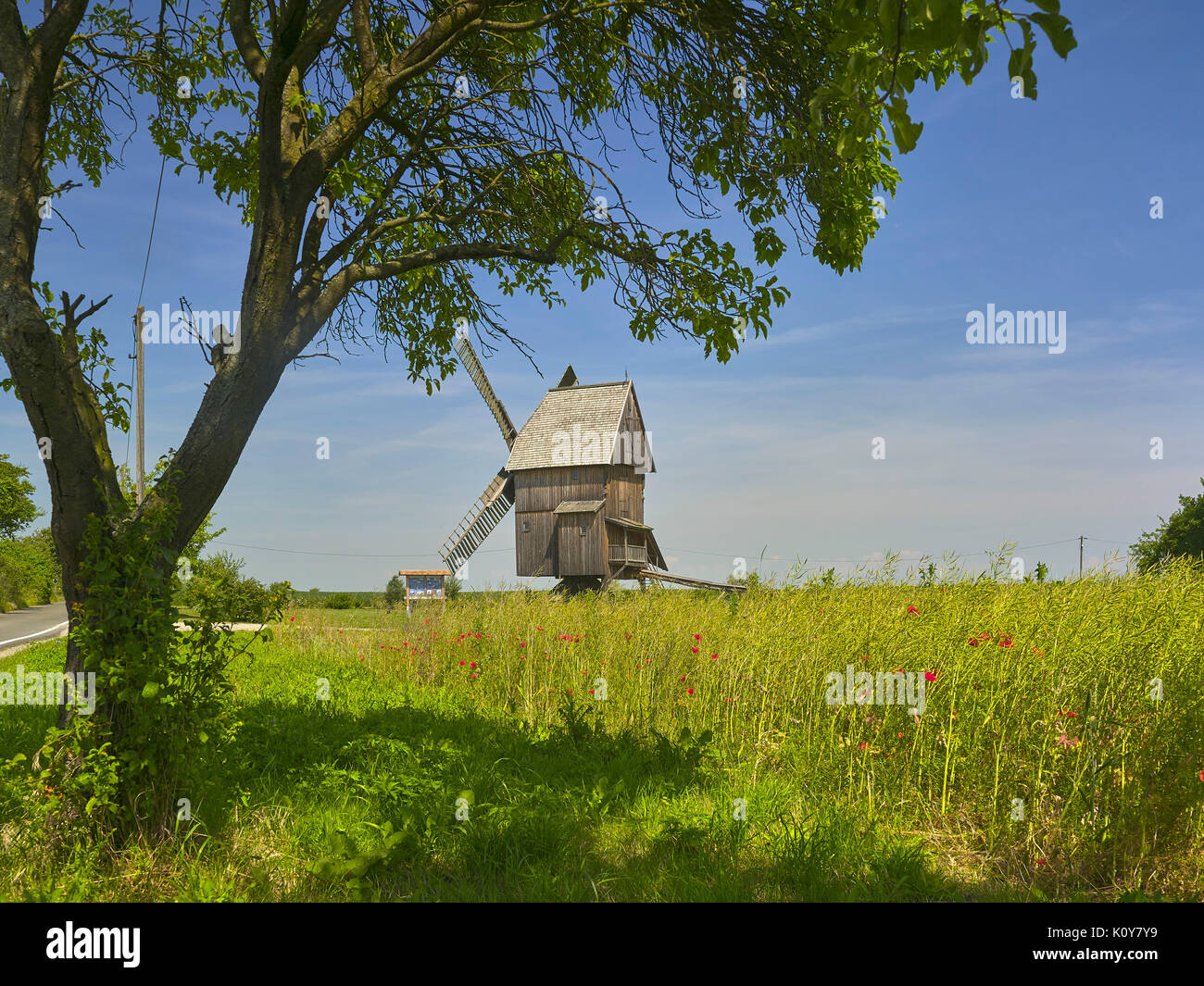 Windmühle in Krippendorf, Thüringen, Deutschland Stockfoto