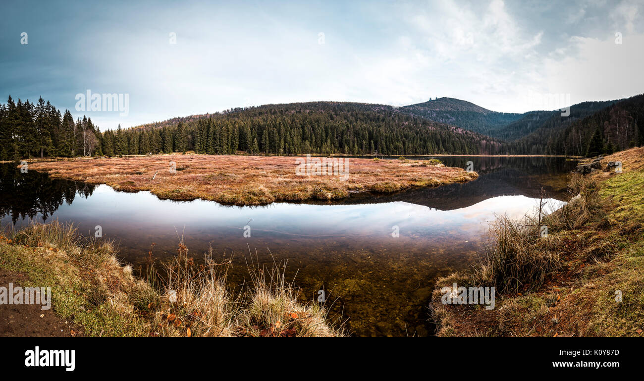 Kleiner Arbersee, Nationalpark Bayerischer Wald, Bayern, Deutschland Stockfoto
