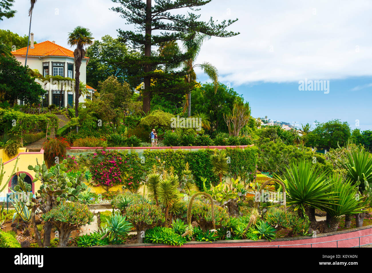 Madeira Botanischen Gärten. Funchal. Madeira, Portugal, Europa. Stockfoto