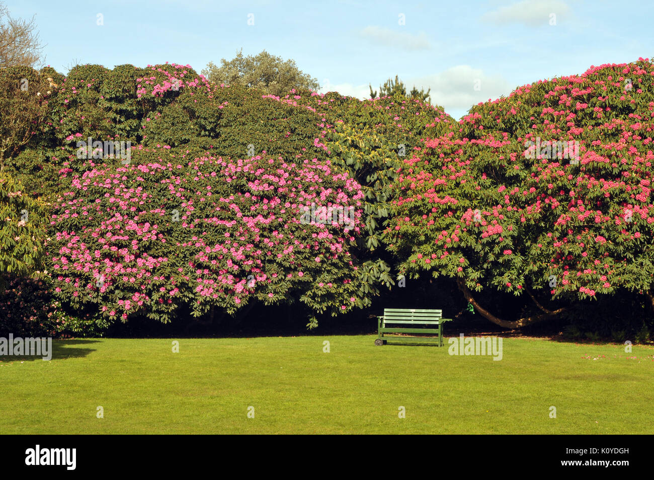 Ein Park Oder Garten Bank Auf Einer Wiese An Der Verlorenen Garten
