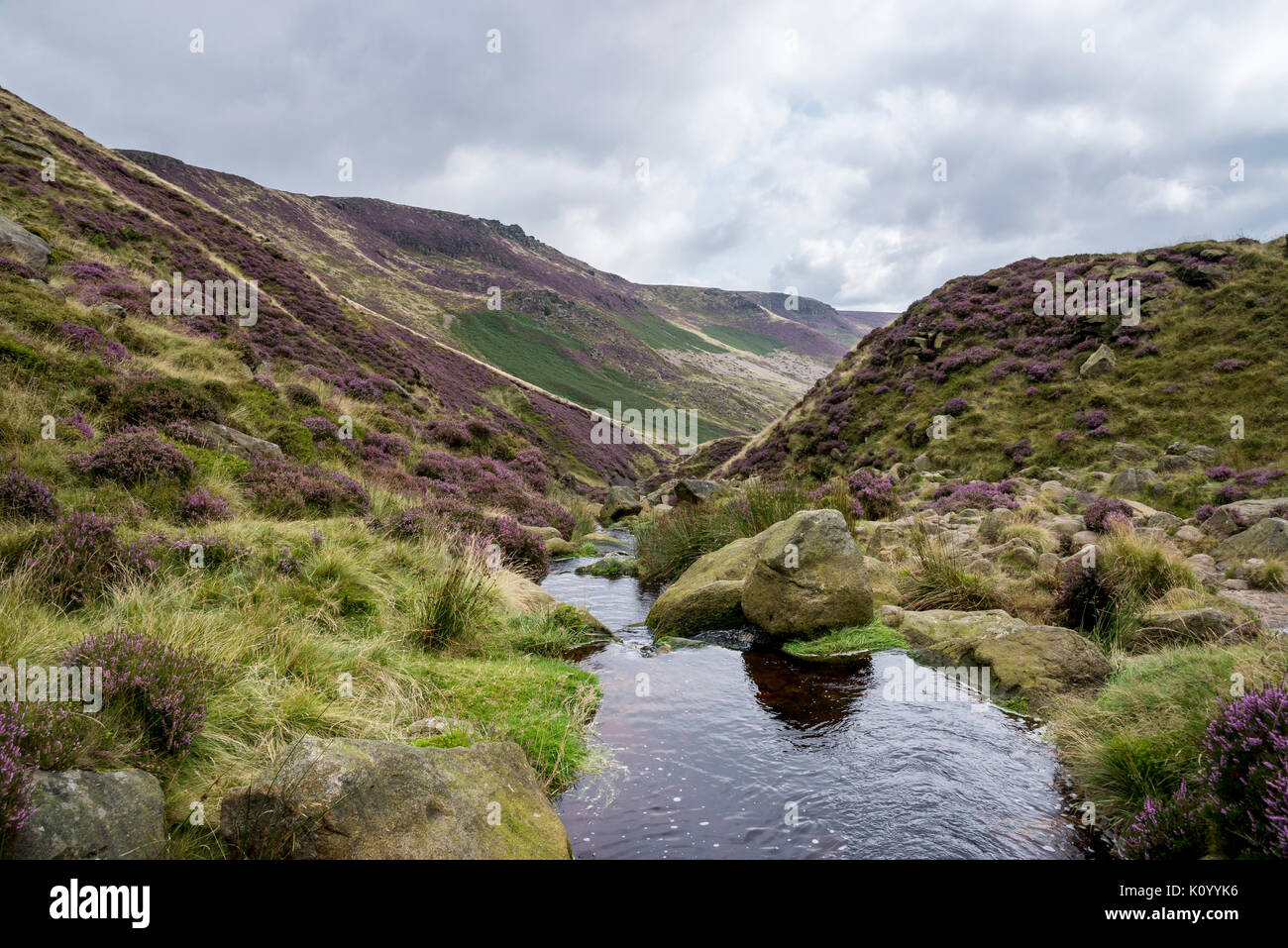 Stream in Grindsbrook Clough in der Nähe von Morley, Nationalpark Peak District, Derbyshire, England. Stockfoto