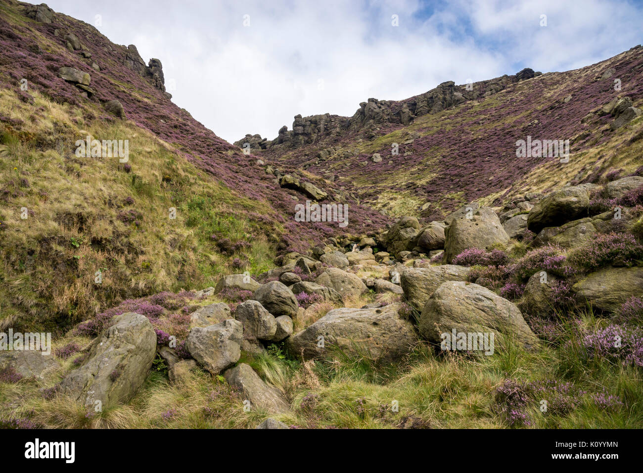 Zerklüftete Landschaft an Grindsbrook Clough in der Nähe von Morley, Peak District National Park, England. Felsen und Heather am Rande des Kinder Scout. Stockfoto
