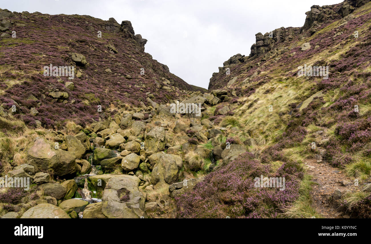 Zerklüftete Landschaft an Grindsbrook Clough in der Nähe von Morley, Peak District National Park, England. Felsen und Heather am Rande des Kinder Scout. Stockfoto