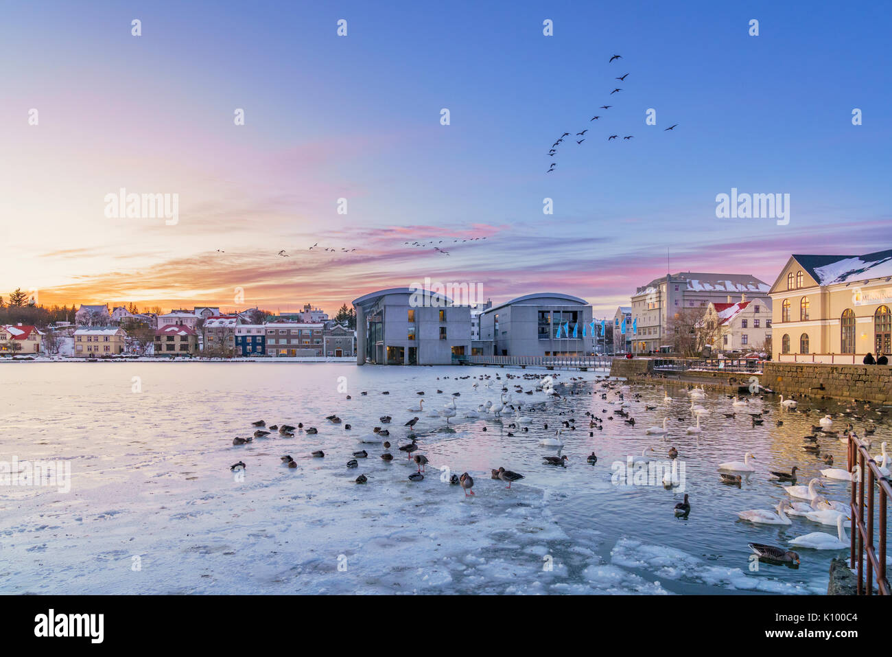 Winter, Reykjavik Teich gefroren, Island Stockfoto