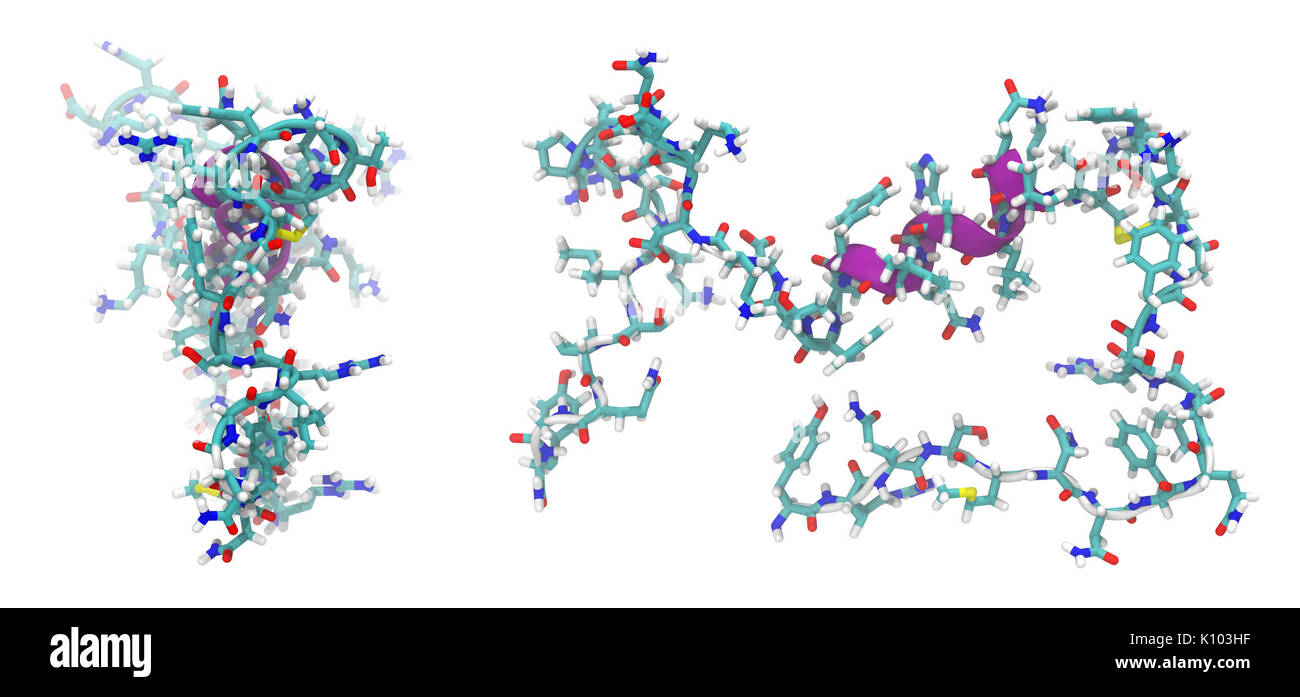 Adrenomedullin 2 L7S Stockfoto