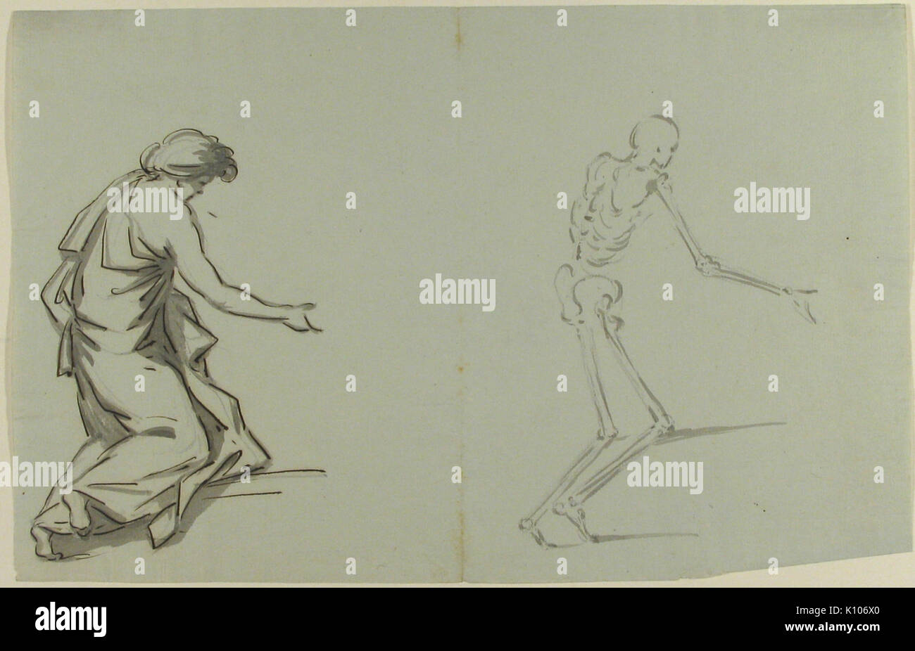 Anatomische Zeichnung MET 54.580.1 Stockfoto