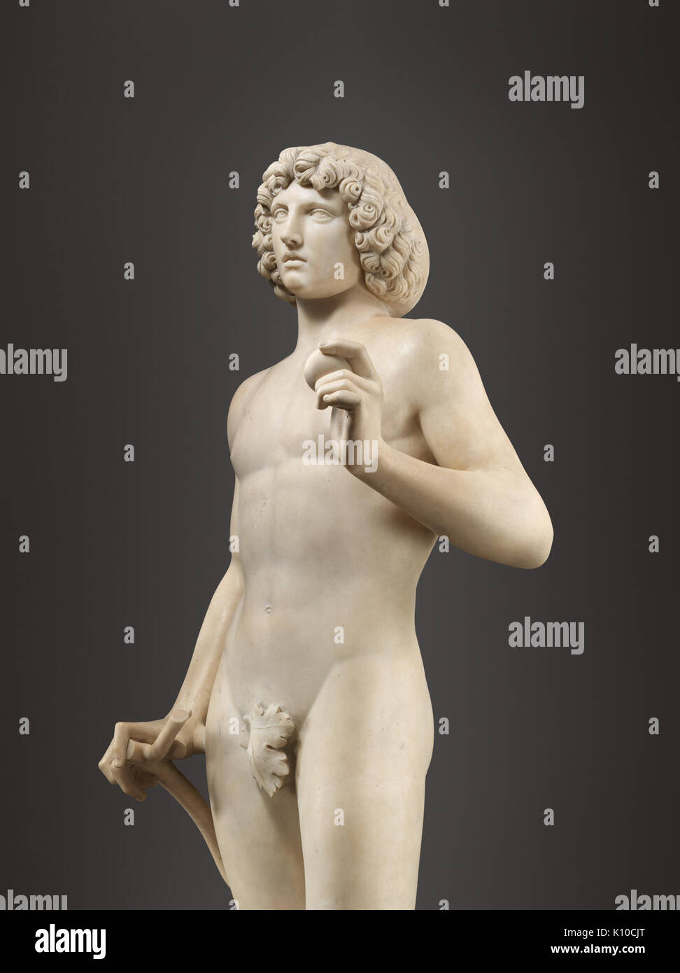 Adam MET DP 334263 Stockfoto
