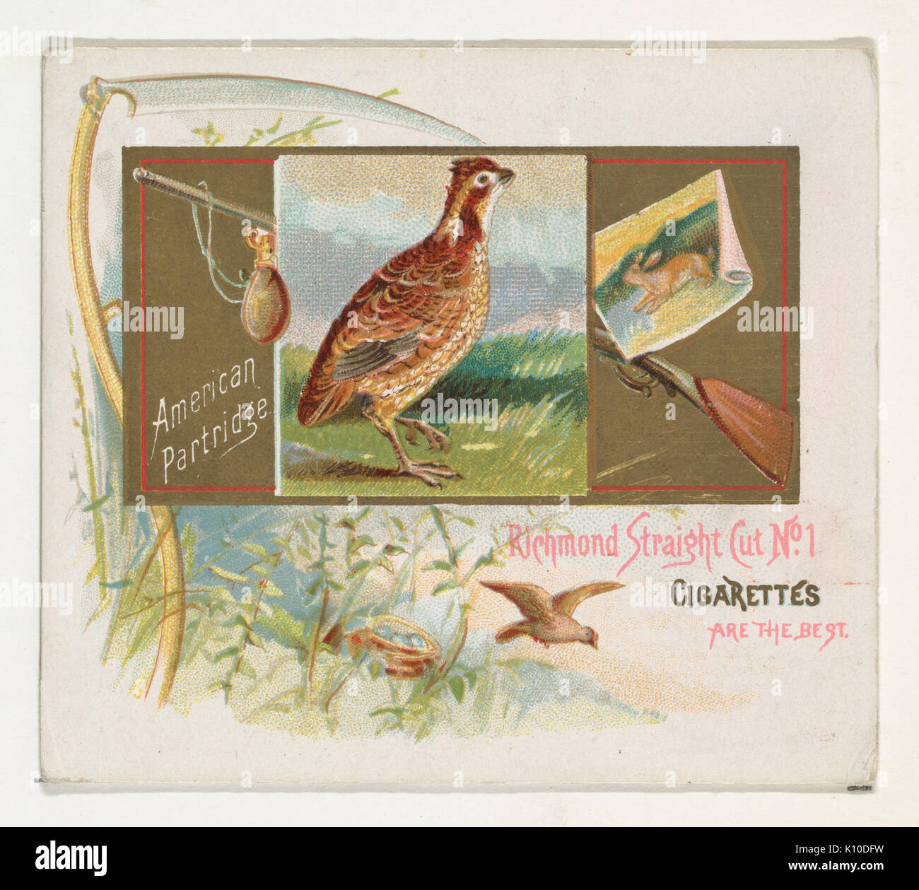 Amerikanische Rebhuhn, aus dem Spiel Vögel-Serie (N40) bei Allen&Ginter Zigaretten MET DP 839133 Stockfoto