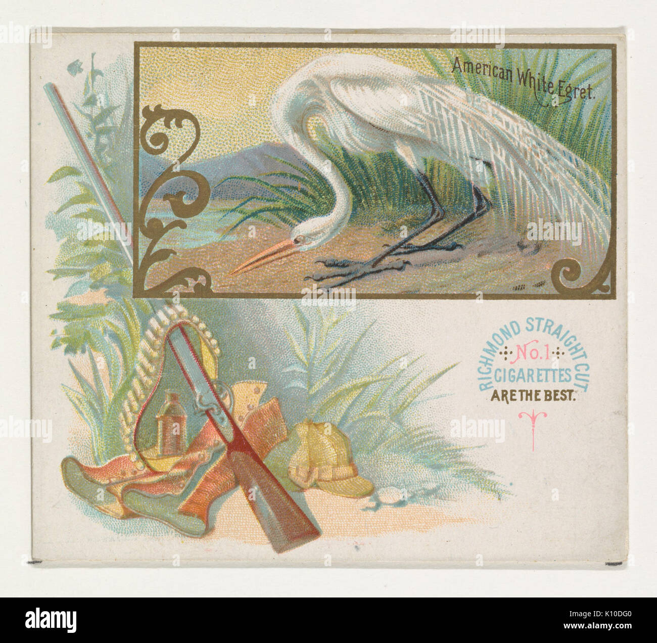 American White Egret, aus dem Spiel Vögel-Serie (N40) bei Allen&Ginter Zigaretten MET DP 839136 Stockfoto