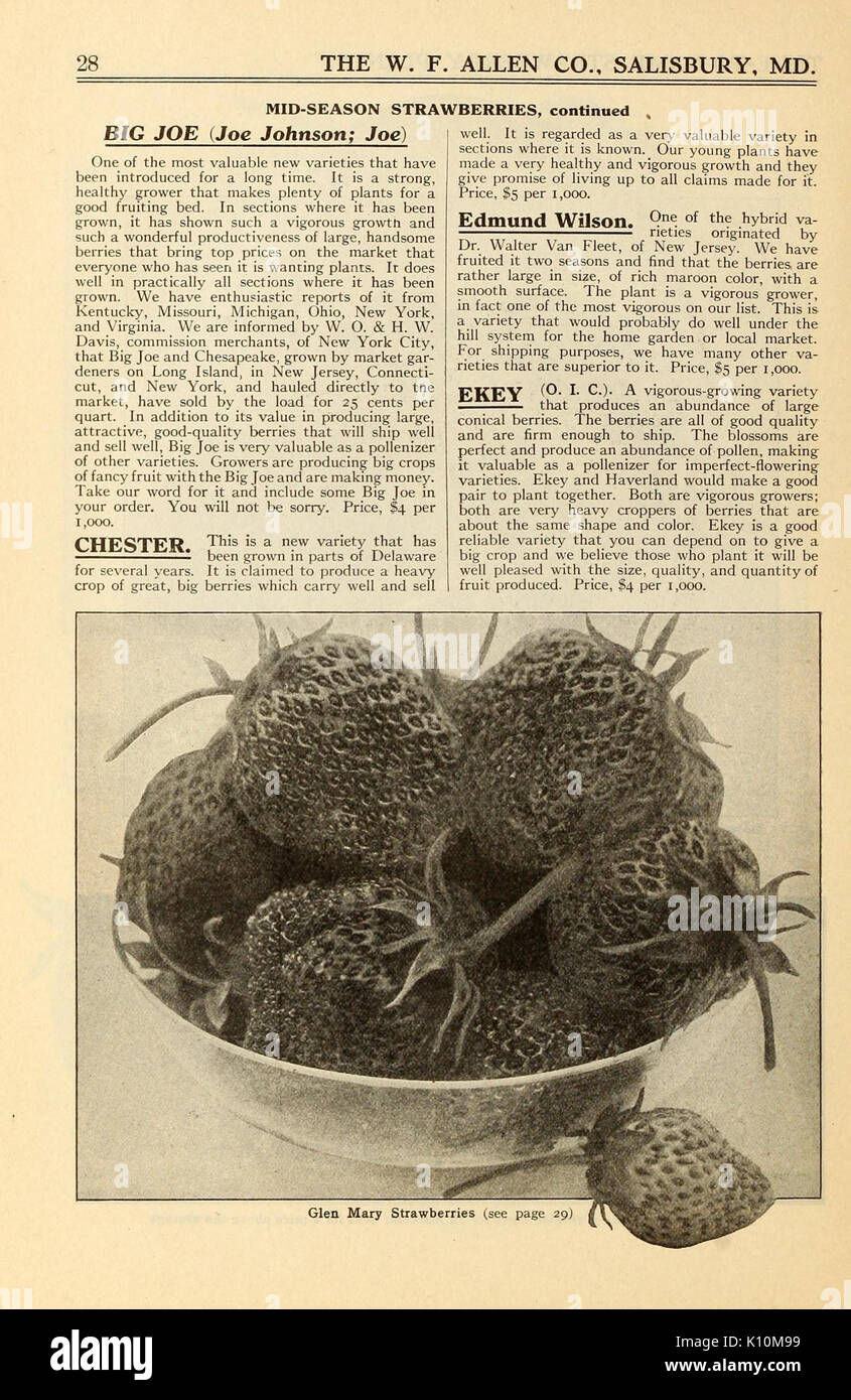 Allens Buch der Beeren (15770274573) Stockfoto