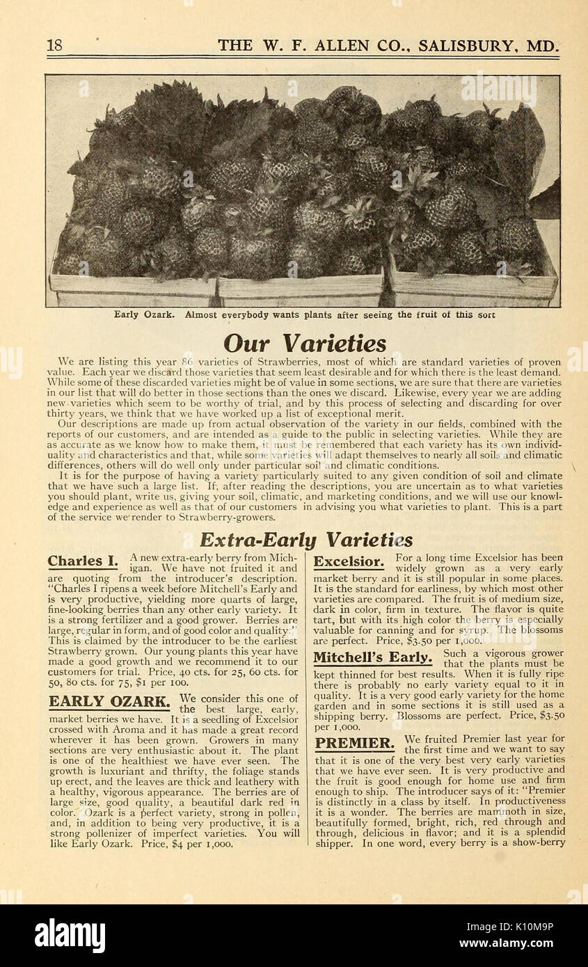 Allens Buch der Beeren (16202628678) Stockfoto