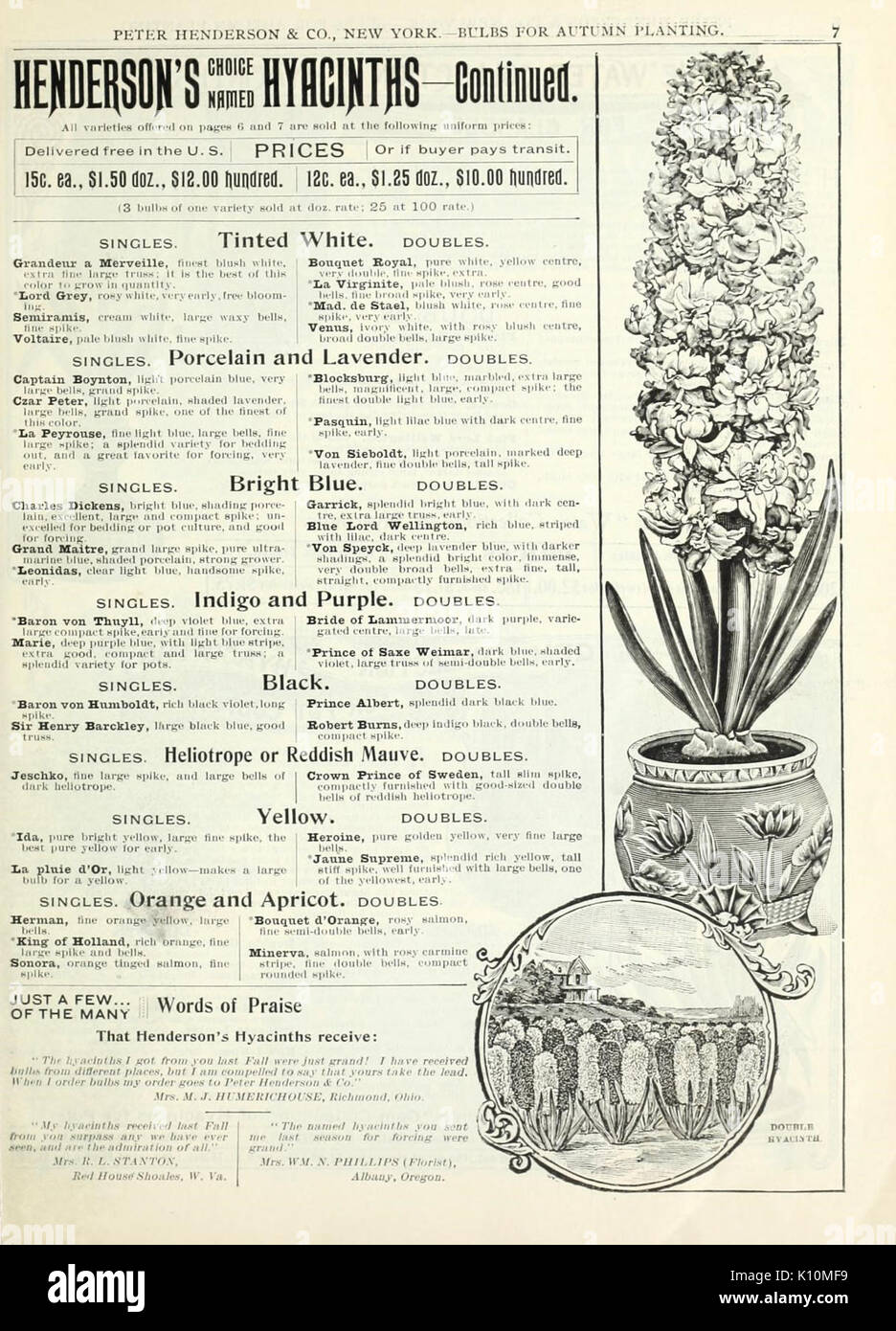 Herbst Blumenzwiebeln Katalog (15829395514) Stockfoto