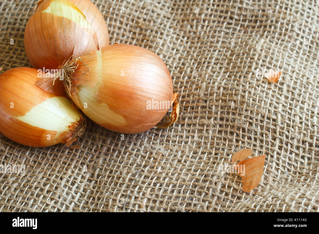 Zwiebeln auf sackleinen mit Kopie Raum Stockfoto