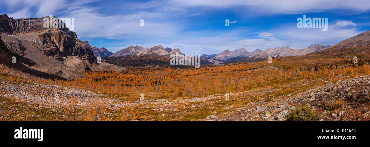 Panoramablick vom Wunder passieren im Herbst, Mount Assiniboine Provincial Park, Rocky Mountains, British Columbia, Kanada. Stockfoto