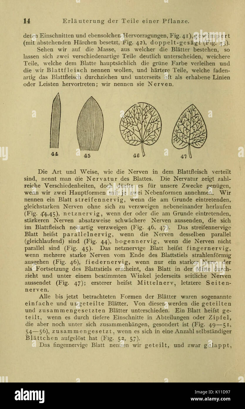 Anleitung zum Botanisieren und zur Anlegung von Pflanzensammlungen (Seite 14) BHL 13161588 Stockfoto