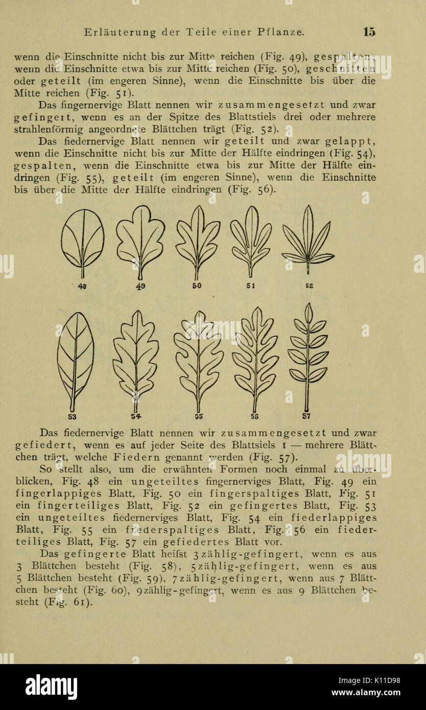 Anleitung zum Botanisieren und zur Anlegung von Pflanzensammlungen (Seite 15) BHL 13161587 Stockfoto