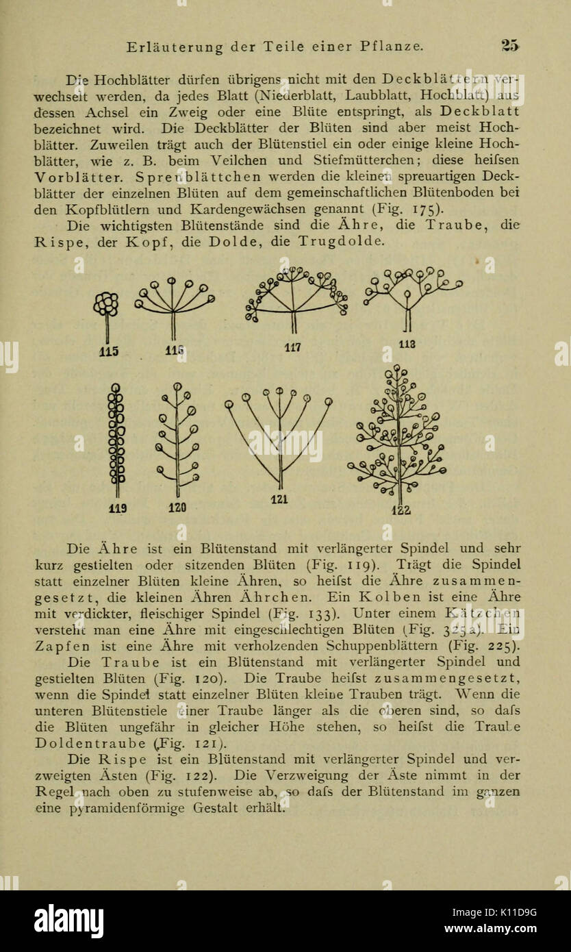 Anleitung zum Botanisieren und zur Anlegung von Pflanzensammlungen (Seite 25) BHL 13161555 Stockfoto