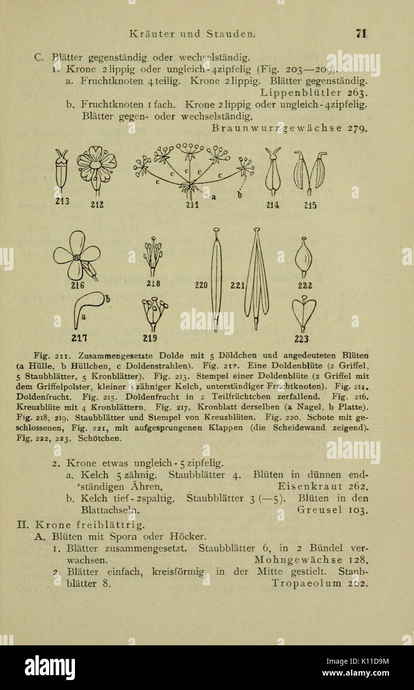 Anleitung zum Botanisieren und zur Anlegung von Pflanzensammlungen (Seite 71) BHL 13161624 Stockfoto