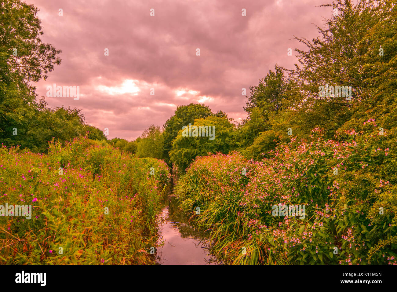 Schönes park Landschaft mit bewölktem Himmel Stockfoto