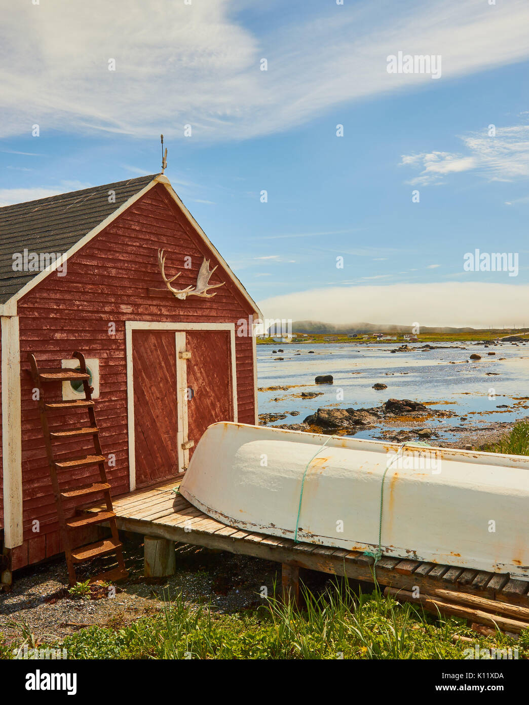 Elch Geweih Holz Kabine angebrachten, großen nördlichen Halbinsel, Neufundland, Kanada Stockfoto