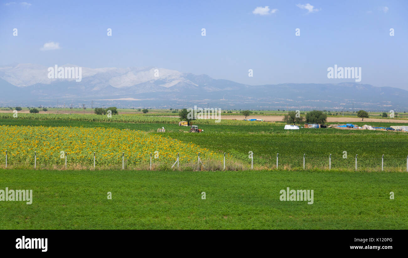 Agrarische Landschaft des westlichen Türkei Stockfoto