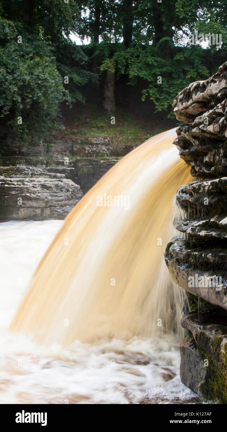 Aysgarth Wasser fällt auf dem Fluß Ure in der Nähe von Hawes und Wenlesydale in den Yorkshire Dales National Park, England, UK. Von Wald umgeben Stockfoto