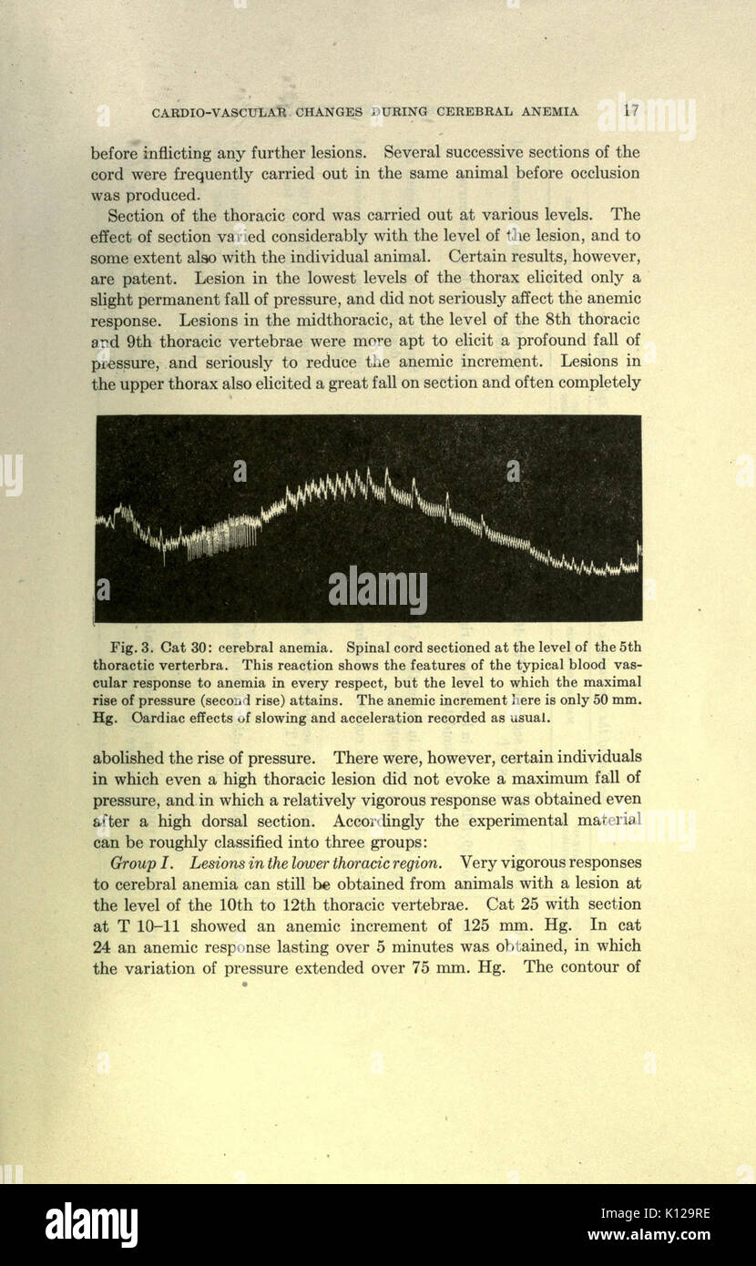 Eine Analyse der nervöse Steuerung des kardiovaskulären Veränderungen während der okklusion des Kopfes Arterien bei Katzen (Seite 17) BHL 23288749 Stockfoto