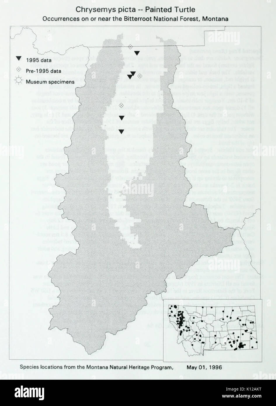 Amphibien und Reptilien Umfrage der Bitterroot National Forest (Seite 21) BHL 25266104 Stockfoto