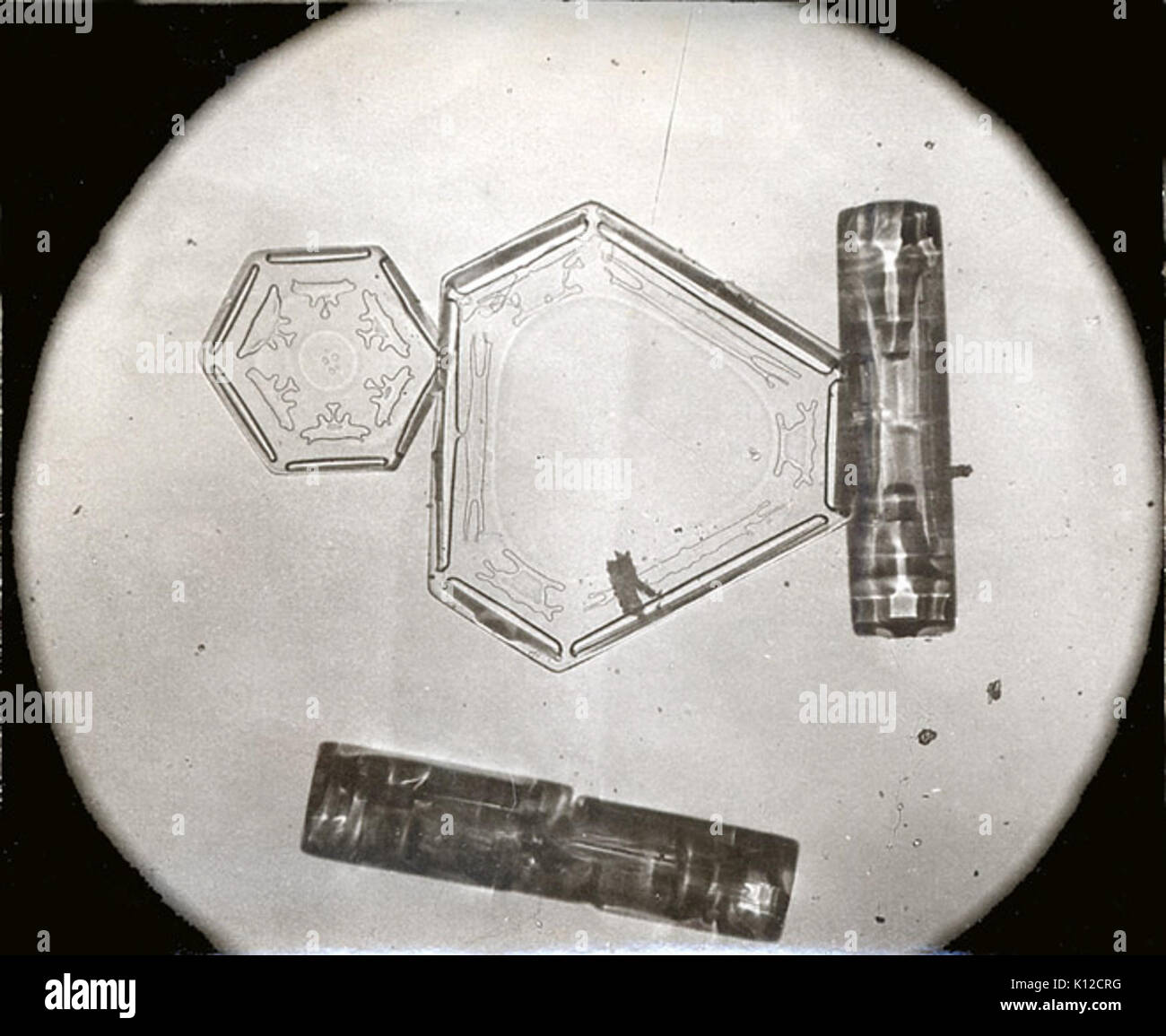 Bentley Schneeflocke schliffbild. 777 Stockfoto