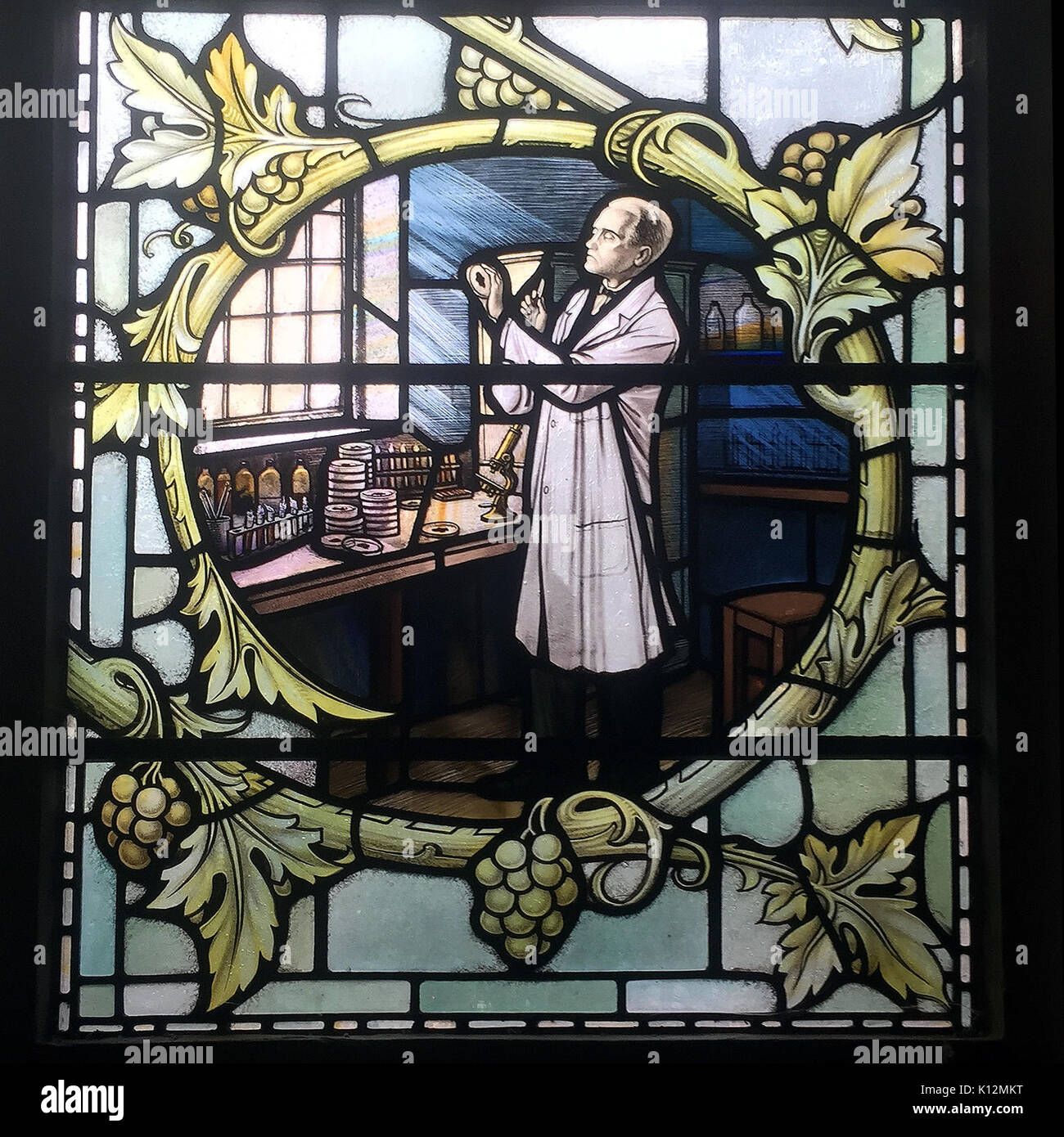 Alexander Fleming Fenster aus buntem Glas. Stockfoto