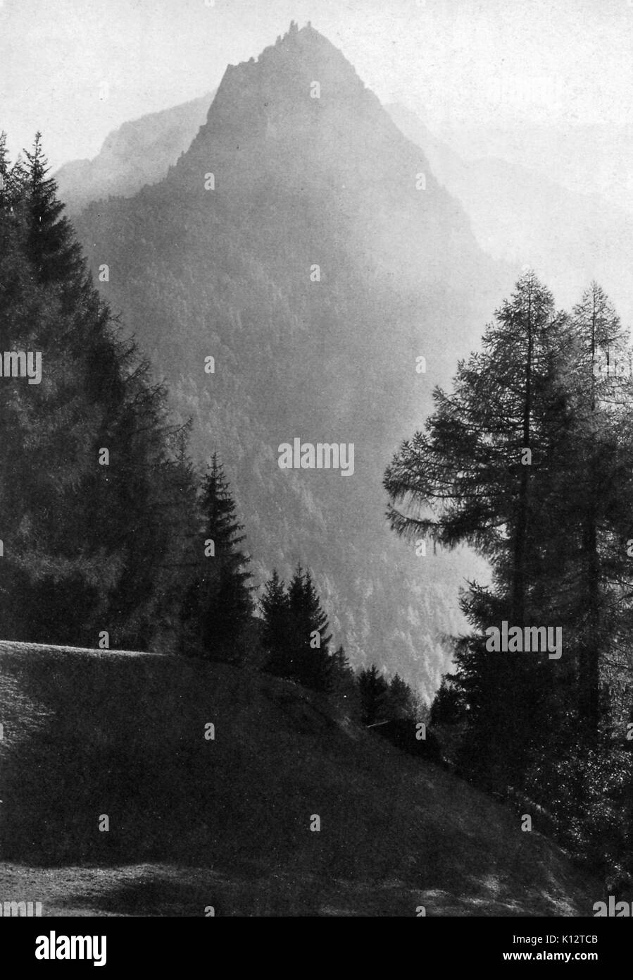 Bewaldeten Hänge des Val Bregalia, Schweiz, Switzerland, 1922. Stockfoto