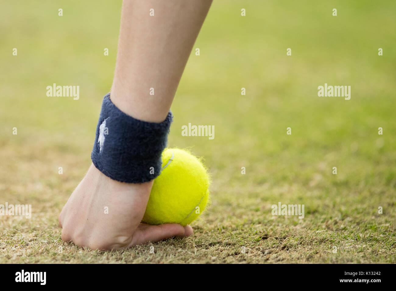 Detail der Hand eines Ball Junge und ein Tennis ball an der Wimbledon Championships 2017 Stockfoto