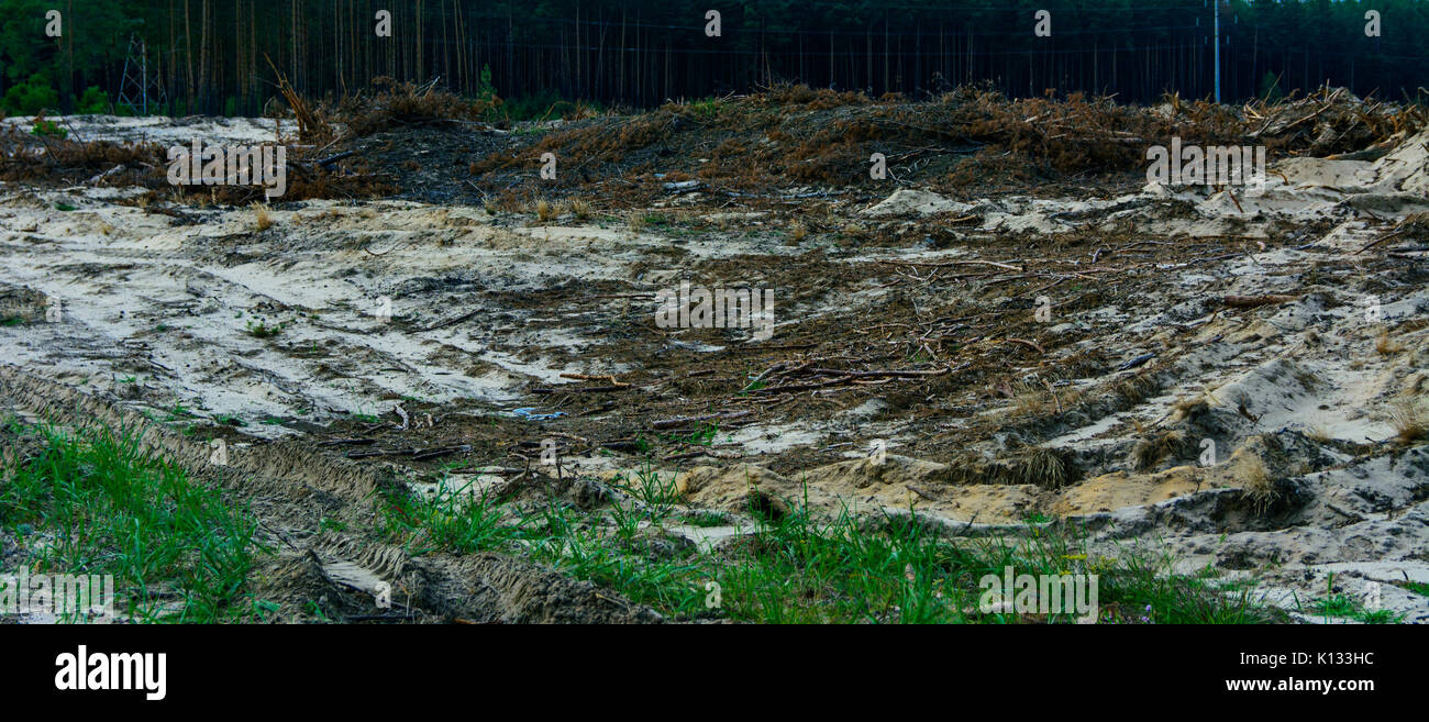 Das Feld ist für illegale amber Bergbau in der Region Shitomir, August 2017 vorbereitet. Stockfoto