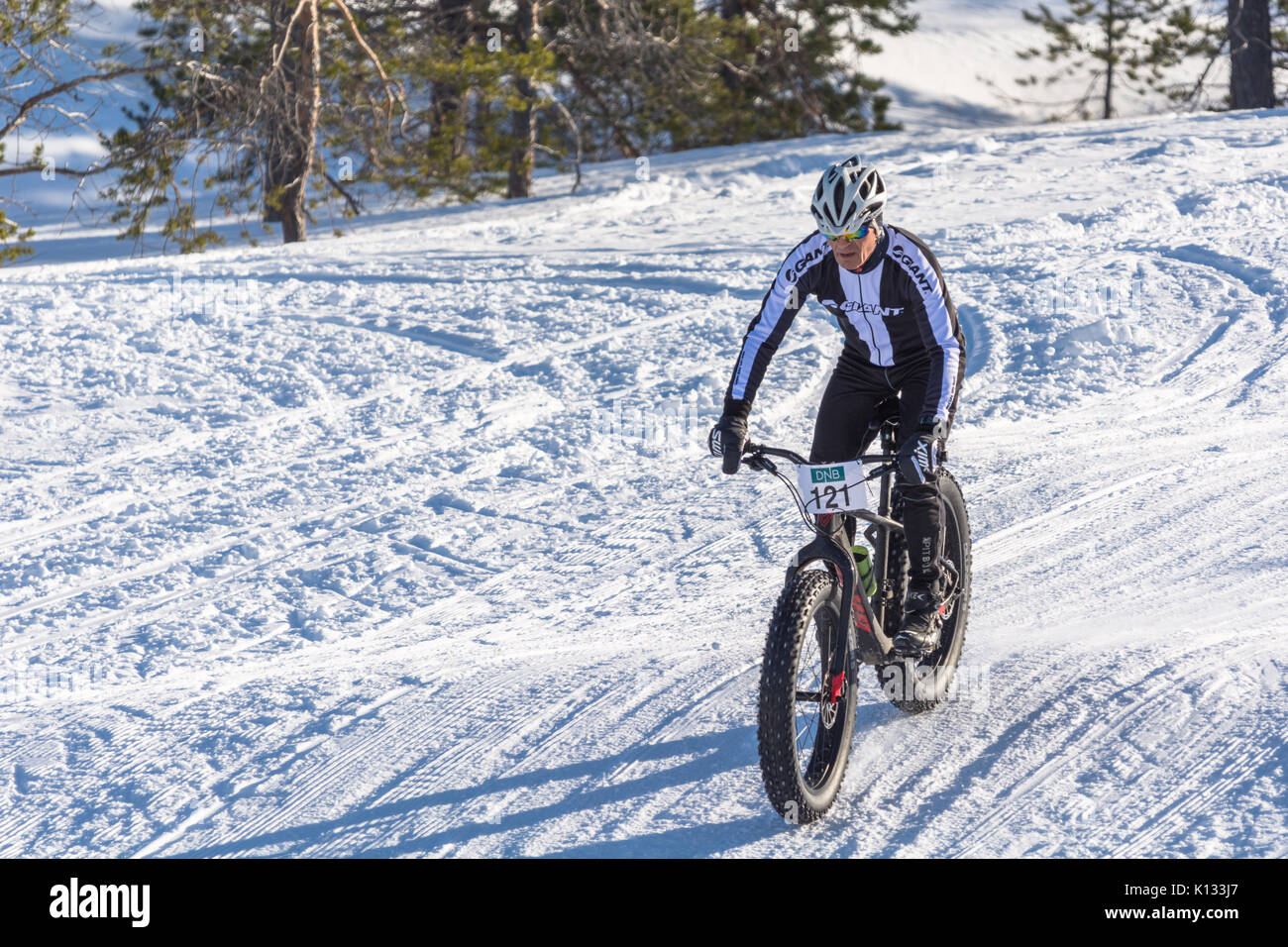 Fatbike, Rennen, racing, schnee, winter, Arktis, Finnmark, Alta, Norwegen, Norge, konkurranse, sykling, vinter Stockfoto