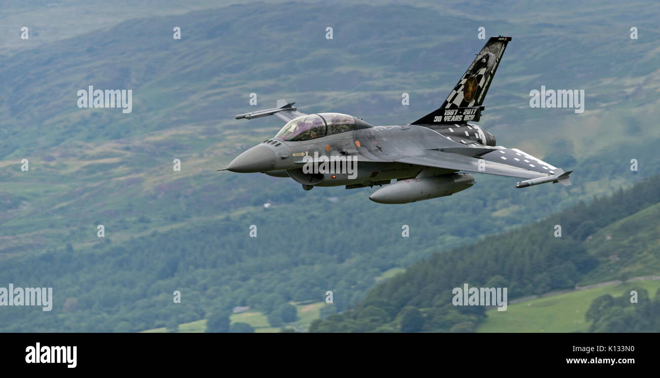 Die belgische Luftwaffe F-16B Semper Geier, niedriges Niveau in Wales Mach Loop, LFA 7. Die Semper Geier spezielle Schwanz Regelung ist zu feiern 30 Jahre werden. Stockfoto