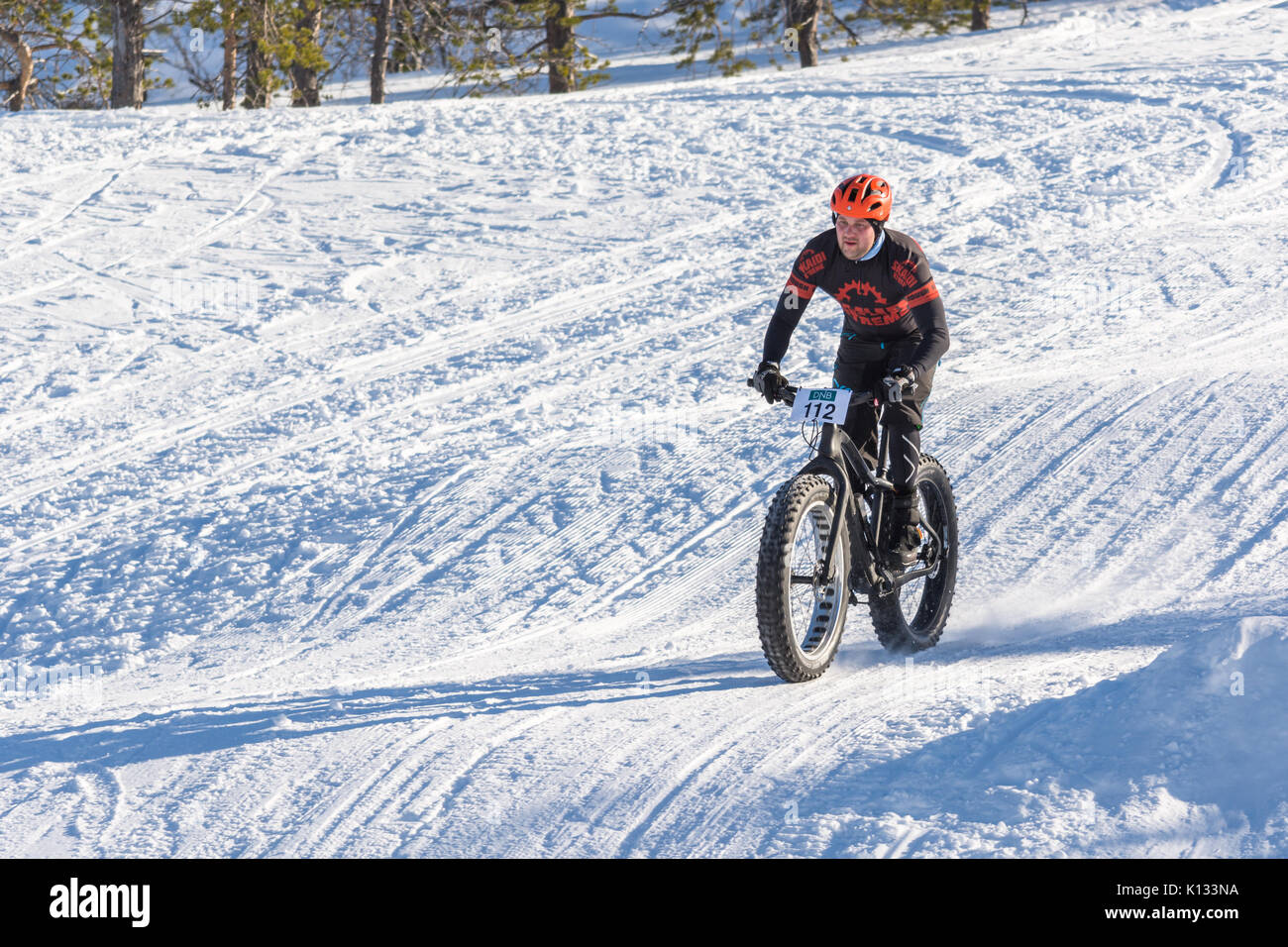 Fatbike, Rennen, racing, schnee, winter, Arktis, Finnmark, Alta, Norwegen, Norge, konkurranse, sykling, vinter Stockfoto