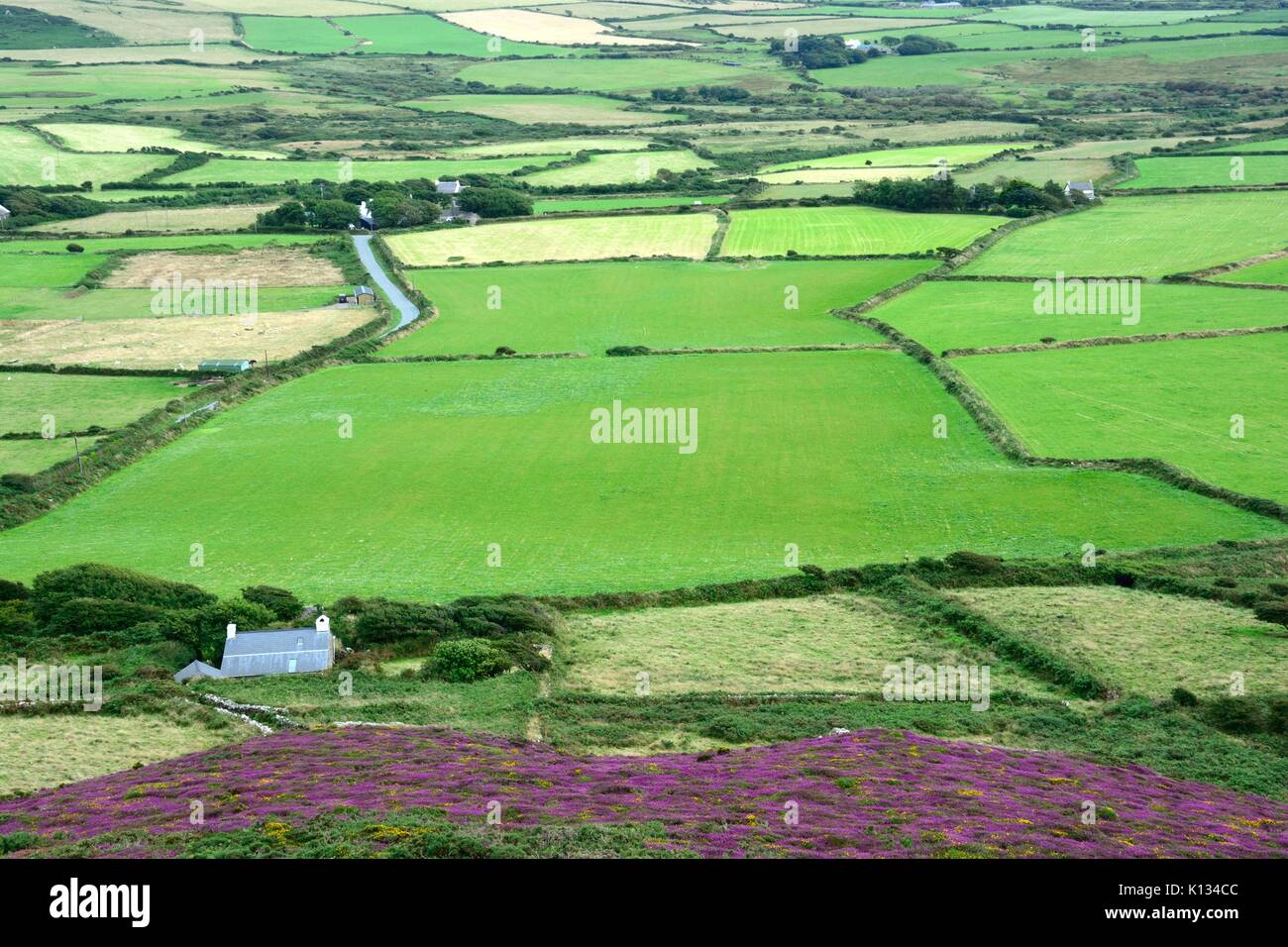 Straße durch grüne organisch geformte Felder Weide aus Garn Fawr pen Caer Pembrokeshire Nationalpark Wales Cymru GROSSBRITANNIEN GB Stockfoto