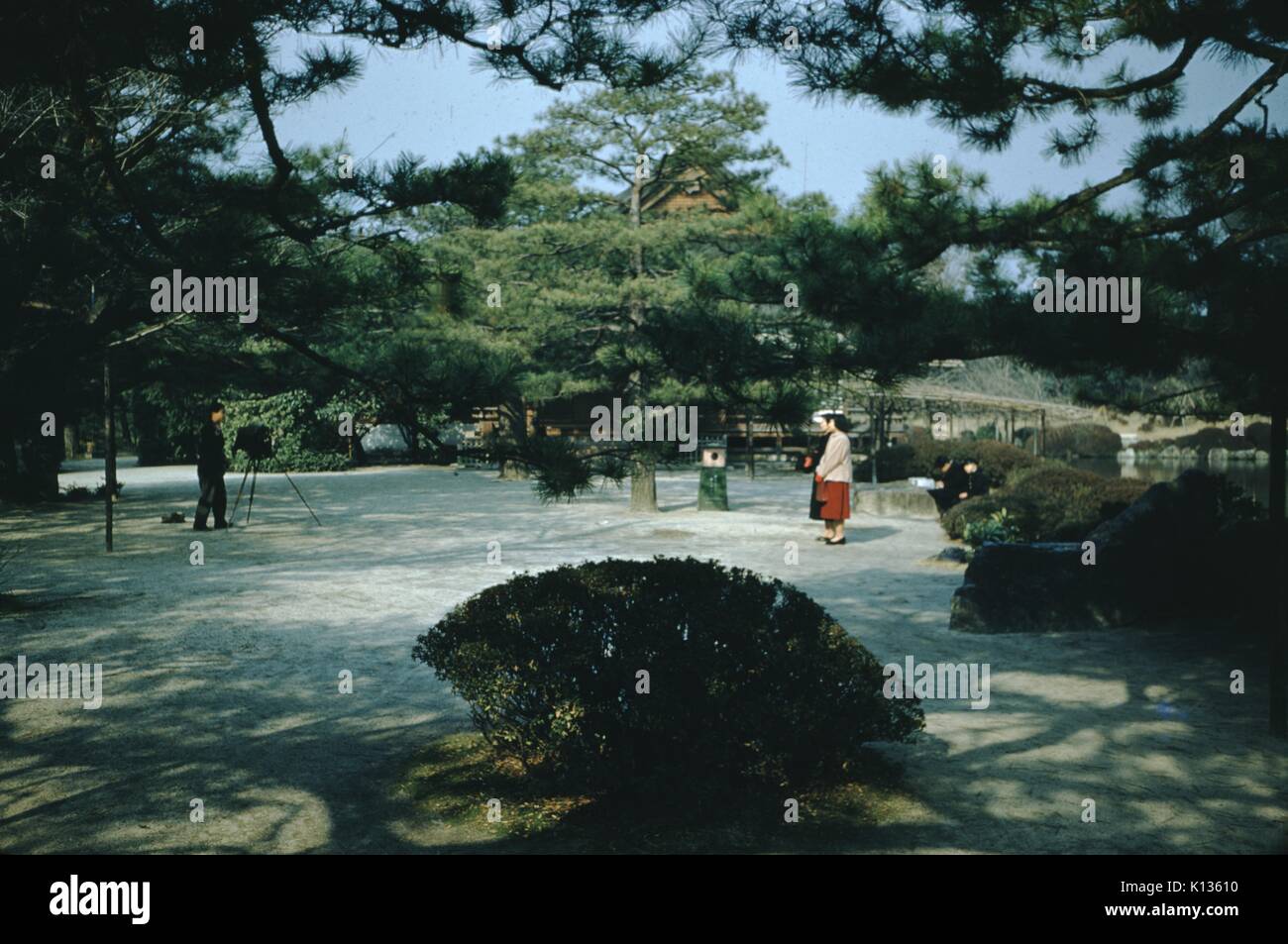 Zwei Frauen für ein Foto in die Gärten rund um einen Tempel in Japan posiert, ein männlicher Fotograf mit einer Großformat-Kamera auf einem Stativ stehen weit von die Frauen und die Vorbereitung der Fotographie, Japan, 1951. Stockfoto