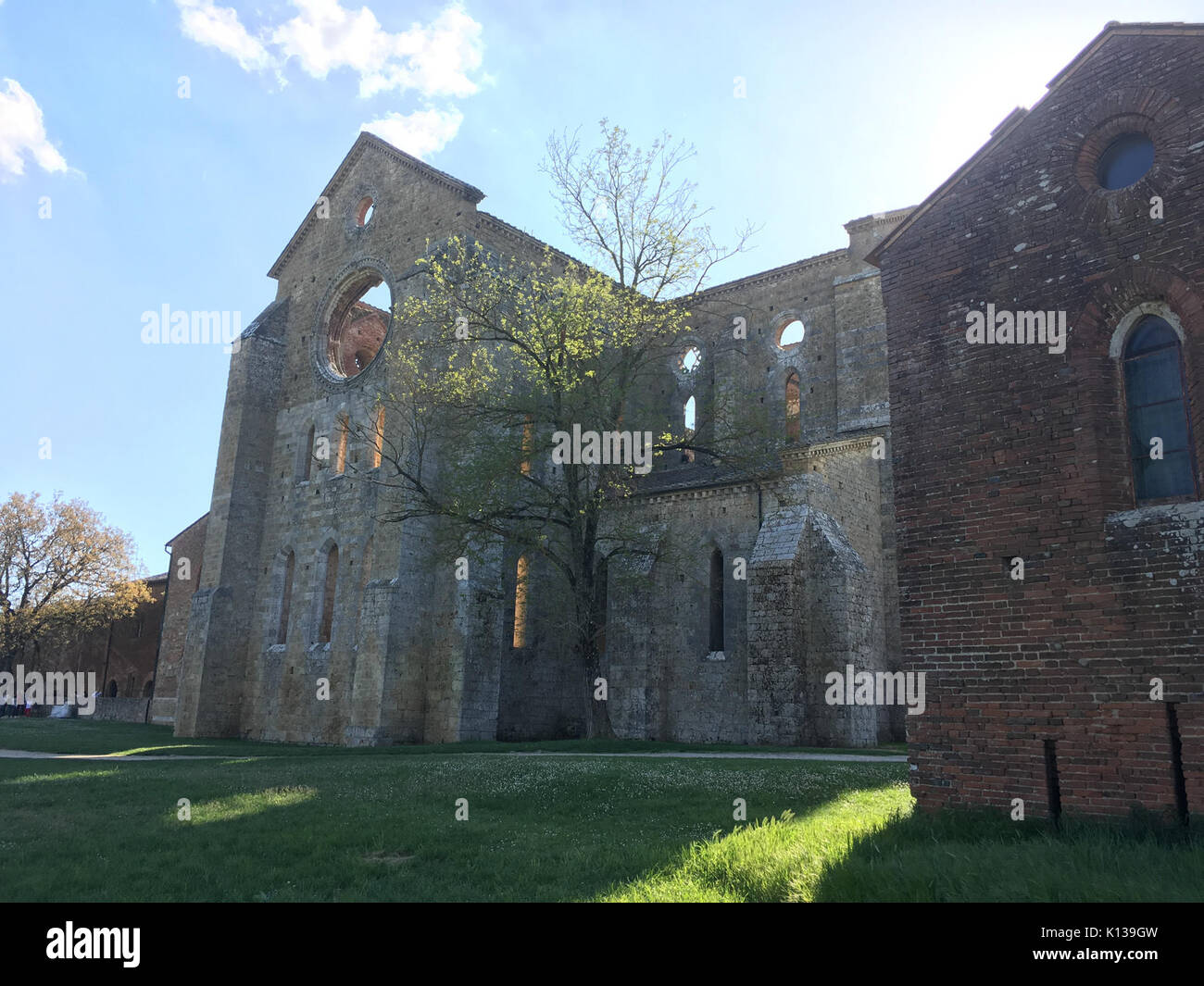 Abbazia di San Galgano 9. Stockfoto