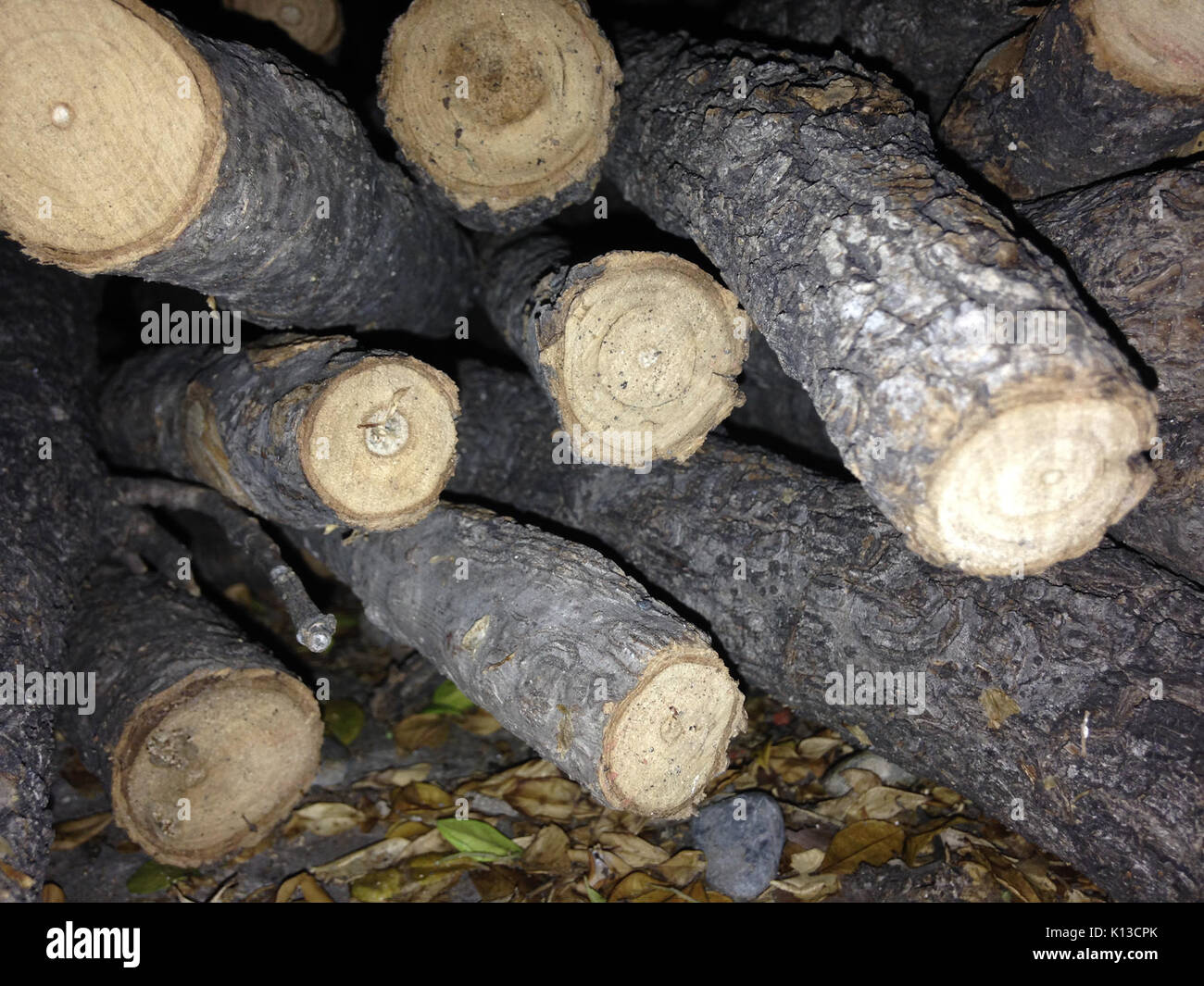 Alter ringe Holz Stockfoto