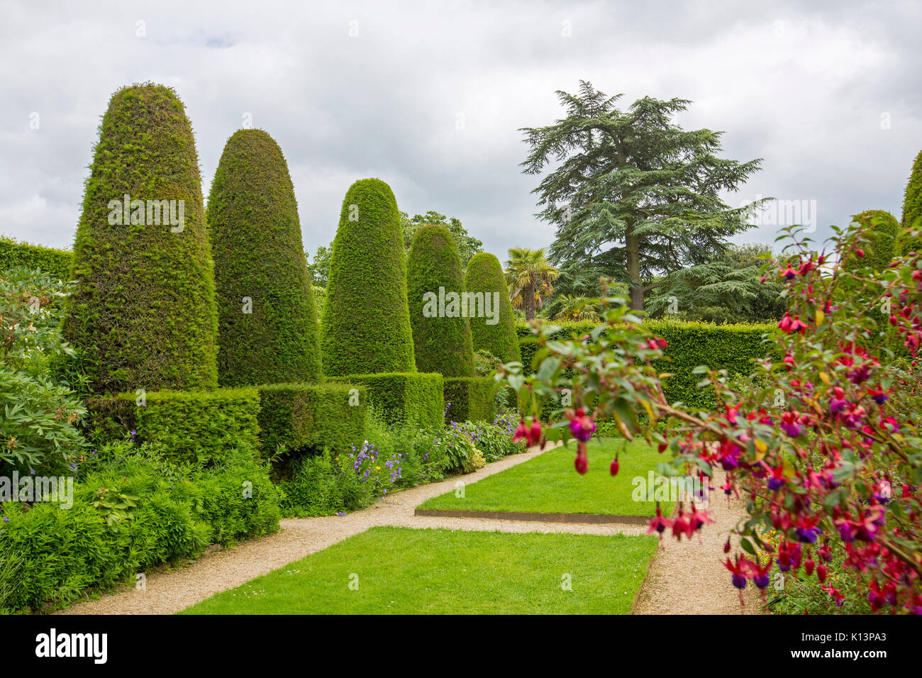 Englischer Garten, bei der die Zeile der Hohe kegelförmige Formgehölze Hecken der Eibe neben smaragdgrünen Rasen und gepflegte Wege Stockfoto